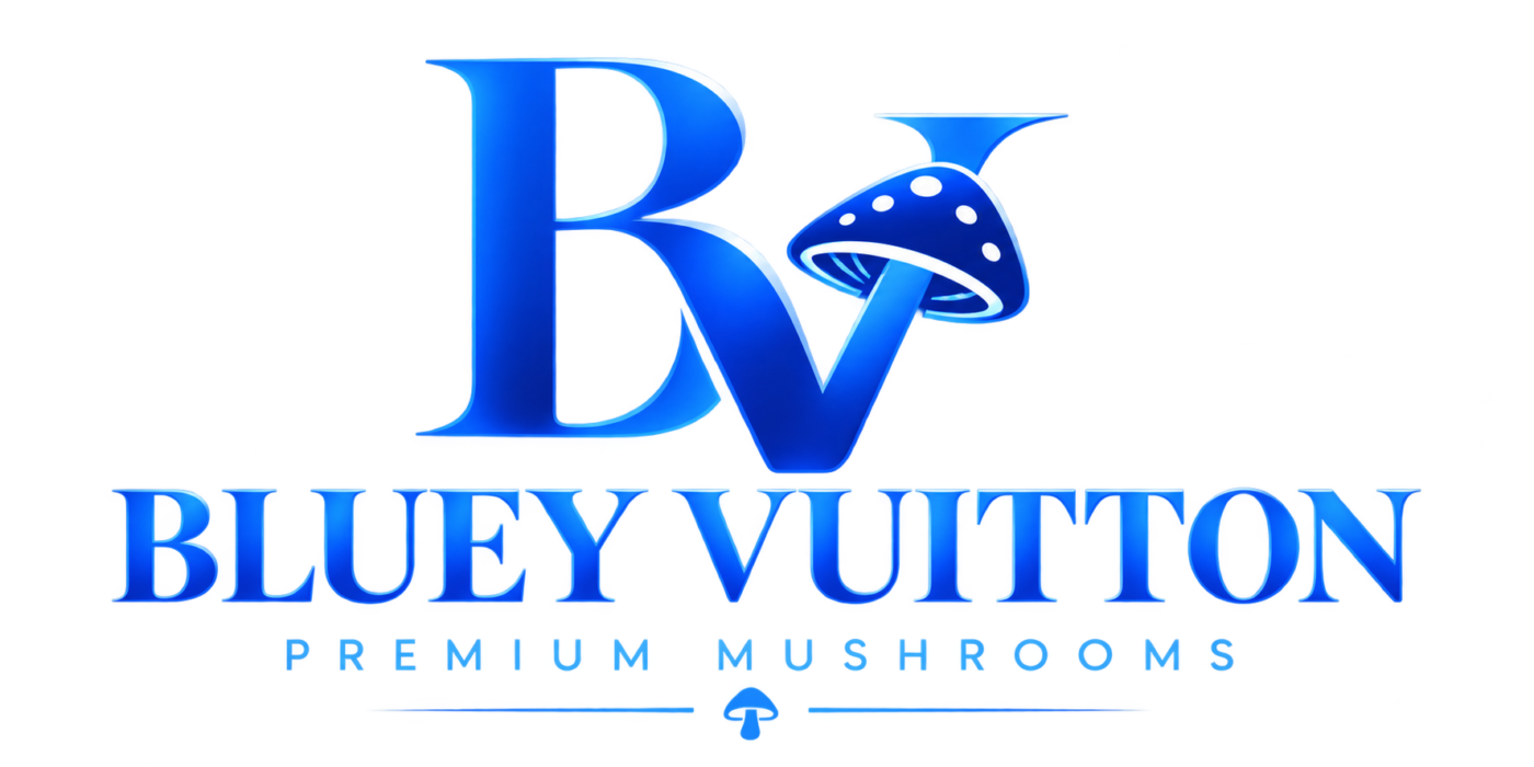 Bluey Vuitton